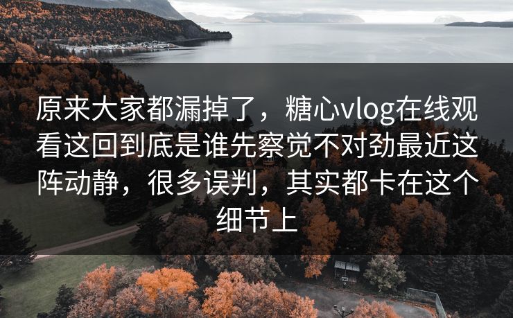 原来大家都漏掉了，糖心vlog在线观看这回到底是谁先察觉不对劲最近这阵动静，很多误判，其实都卡在这个细节上