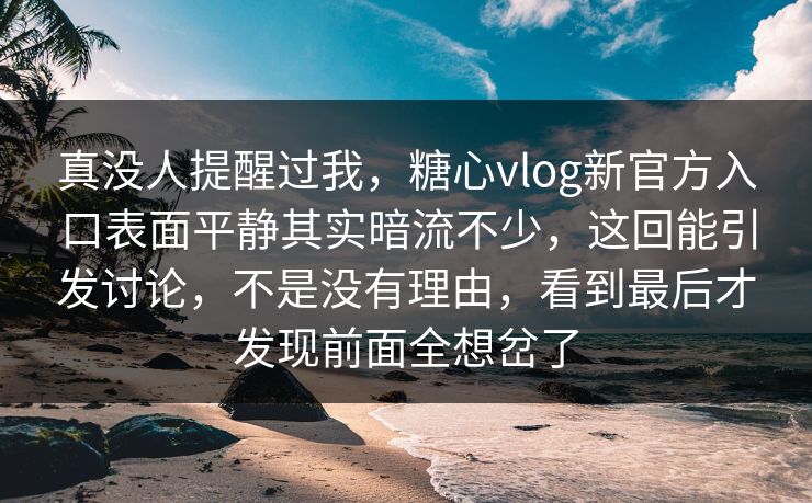 真没人提醒过我，糖心vlog新官方入口表面平静其实暗流不少，这回能引发讨论，不是没有理由，看到最后才发现前面全想岔了