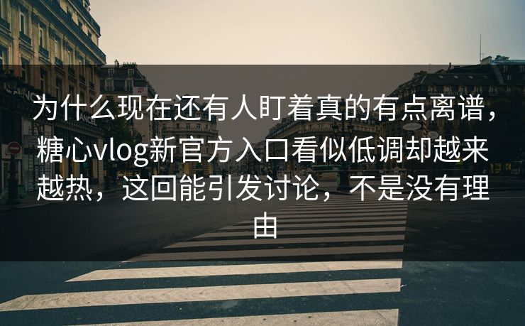 为什么现在还有人盯着真的有点离谱，糖心vlog新官方入口看似低调却越来越热，这回能引发讨论，不是没有理由