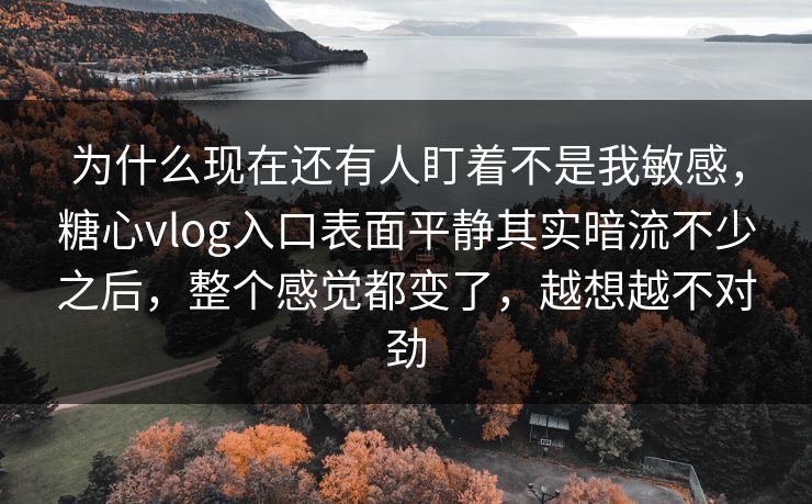 为什么现在还有人盯着不是我敏感，糖心vlog入口表面平静其实暗流不少之后，整个感觉都变了，越想越不对劲