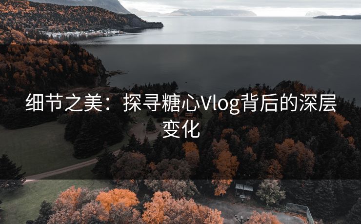 细节之美:探寻糖心Vlog背后的深层变化 细节之美:探寻糖心Vlog背后的深层变化